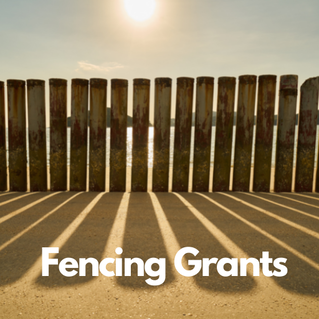 Picture Fencing Grants